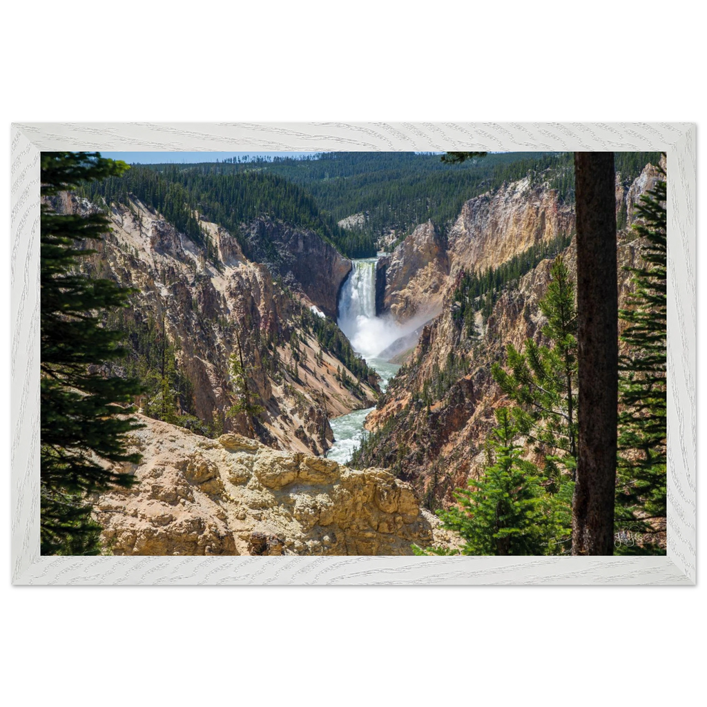 120b582b-f329-43f5-b7d2-f09e4166ecba