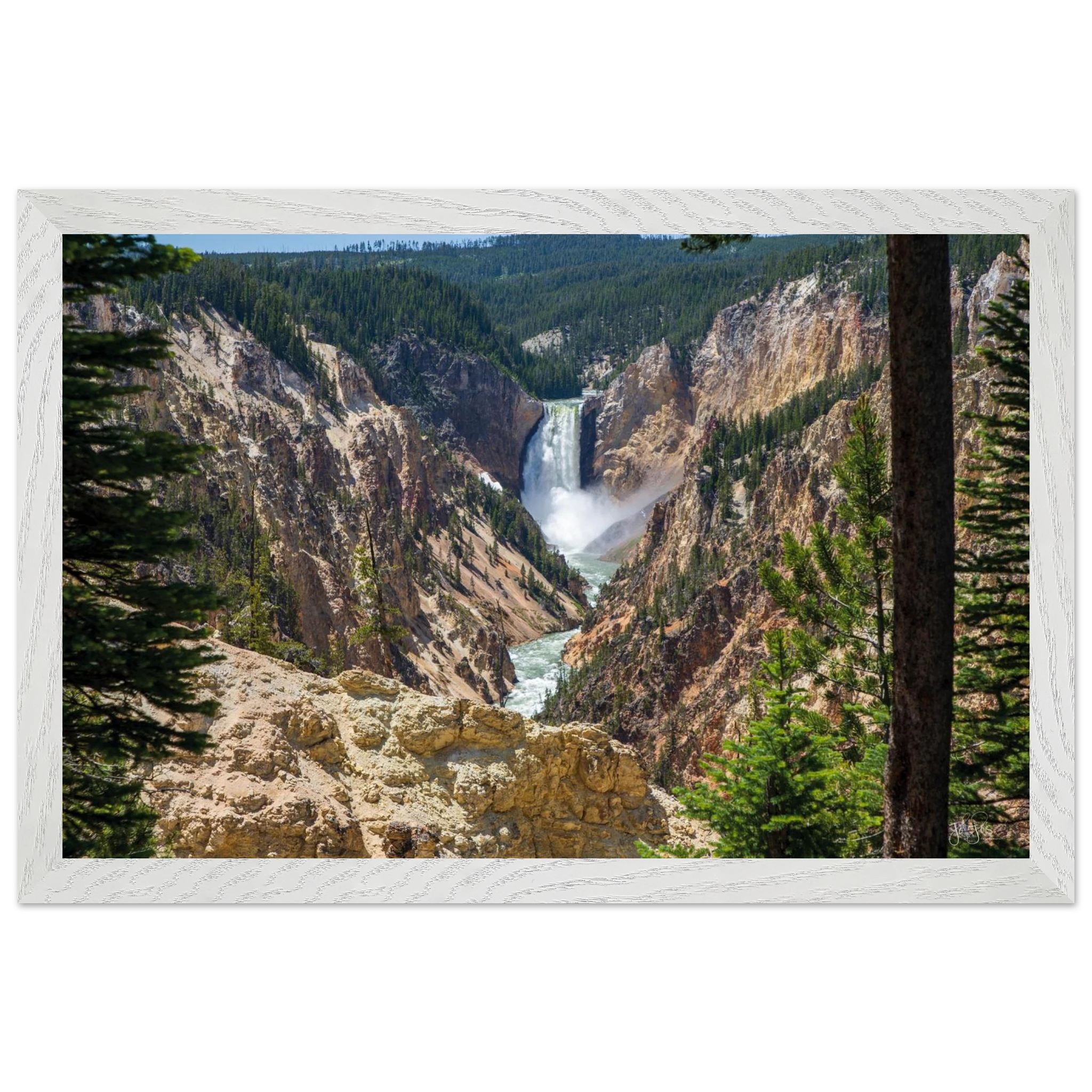 120b582b-f329-43f5-b7d2-f09e4166ecba
